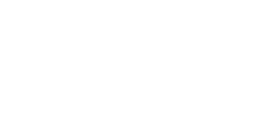 Bumble Bees II