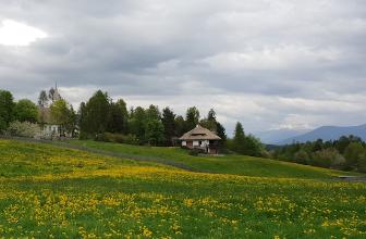 Haus in einer ländlichen Gegend